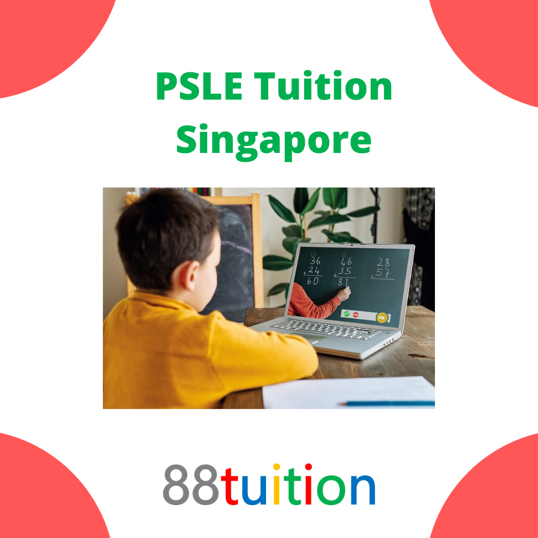 Score A 1 grade in PSLE exams through online video tutorials